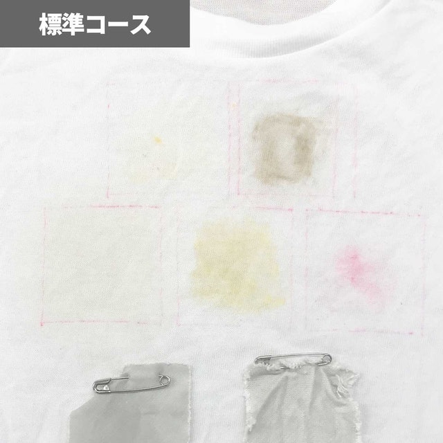 標準コースの洗浄力は高め。軽い汚れならおおむね落とせる