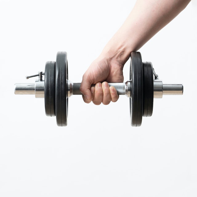 IVANKO 20KG ダンベルプレート 一枚分その1