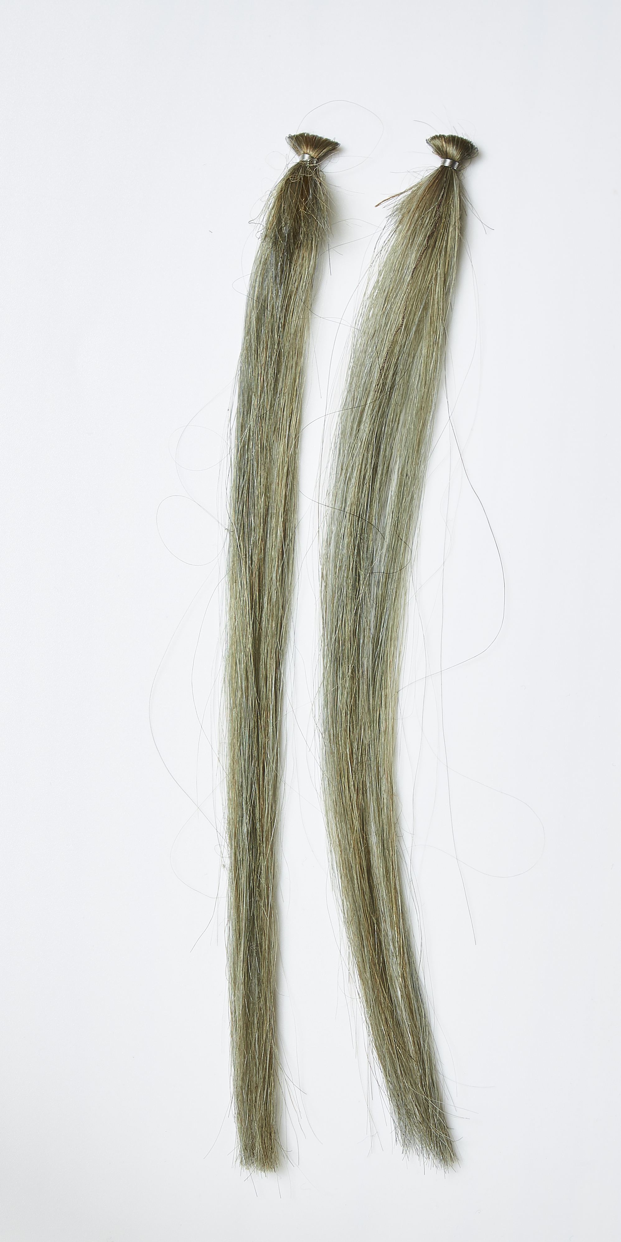 スティーブンノル カラーコントロールシャンプーを他商品と比較 口コミや評判を実際に使ってレビューしました Mybest