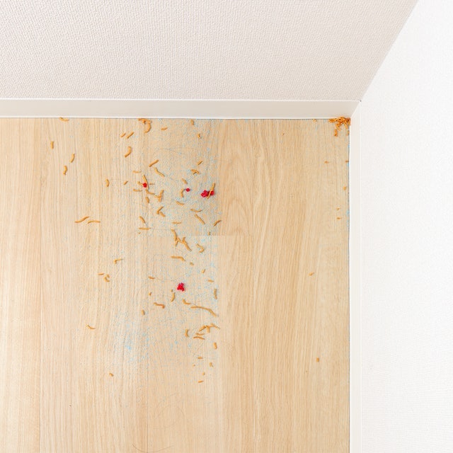 スリムながら吸い込みは力強い。カーペット上でも引っかからず吸引できる