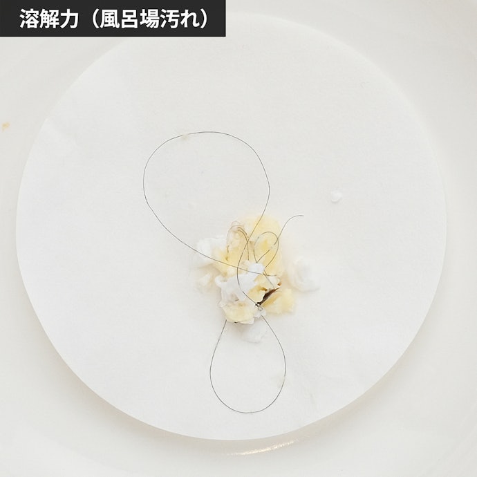 ほとんどの髪の毛を分解でき、風呂場の目立つ汚れを解消
