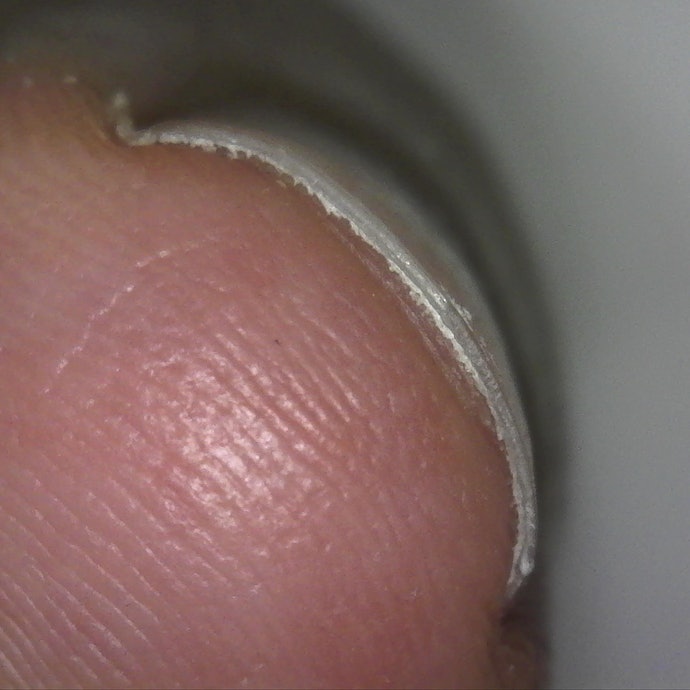 スワダ 爪切り クラシック Lを全24商品と比較 口コミや評判を実際に使ってレビューしました Mybest