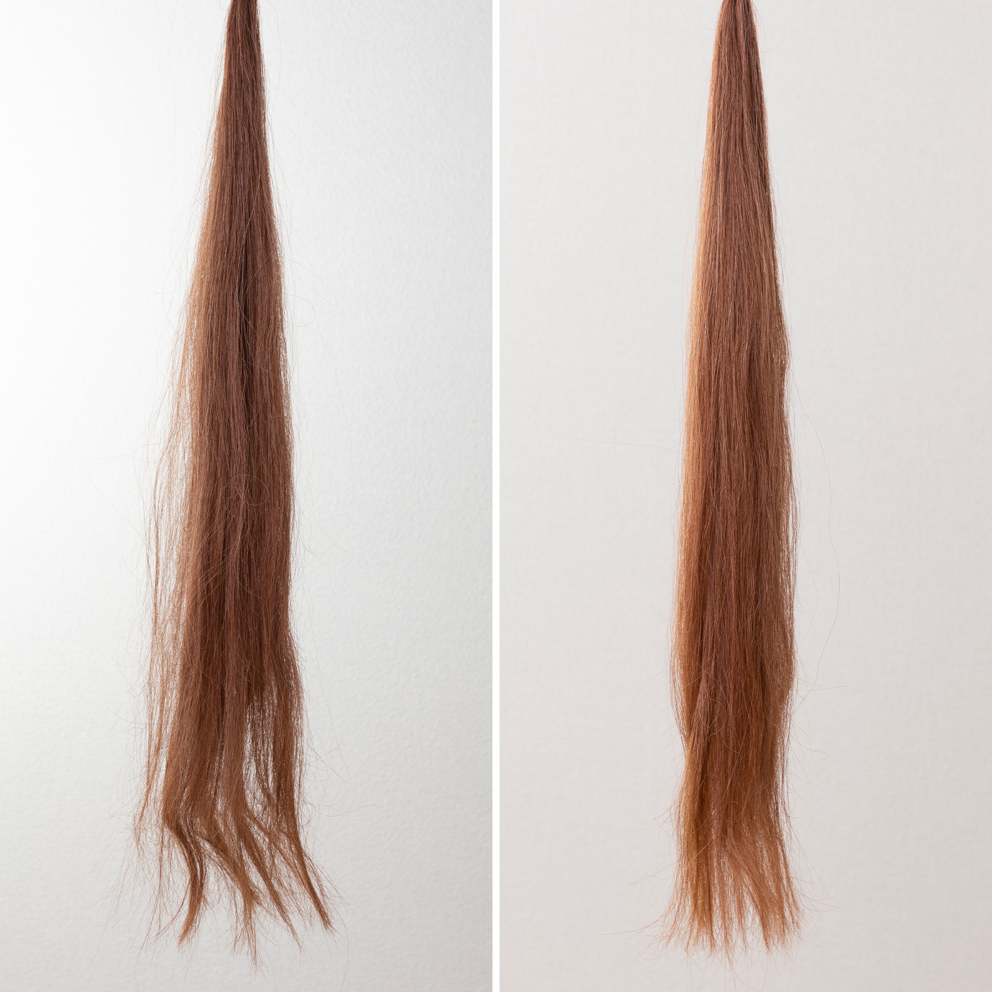 DAFNI goをレビュー！クチコミ・評判をもとに徹底検証 | マイベスト