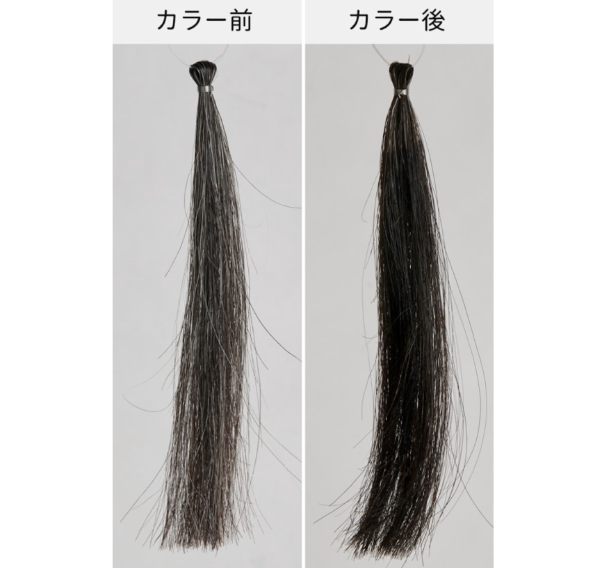 2490d4584fe19be2cbd9a0817fb282