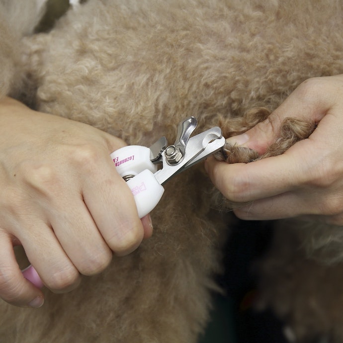 ロゼンスター ペット用爪切り ヤスリを全17商品と比較 口コミや評判を実際に使ってレビューしました Mybest