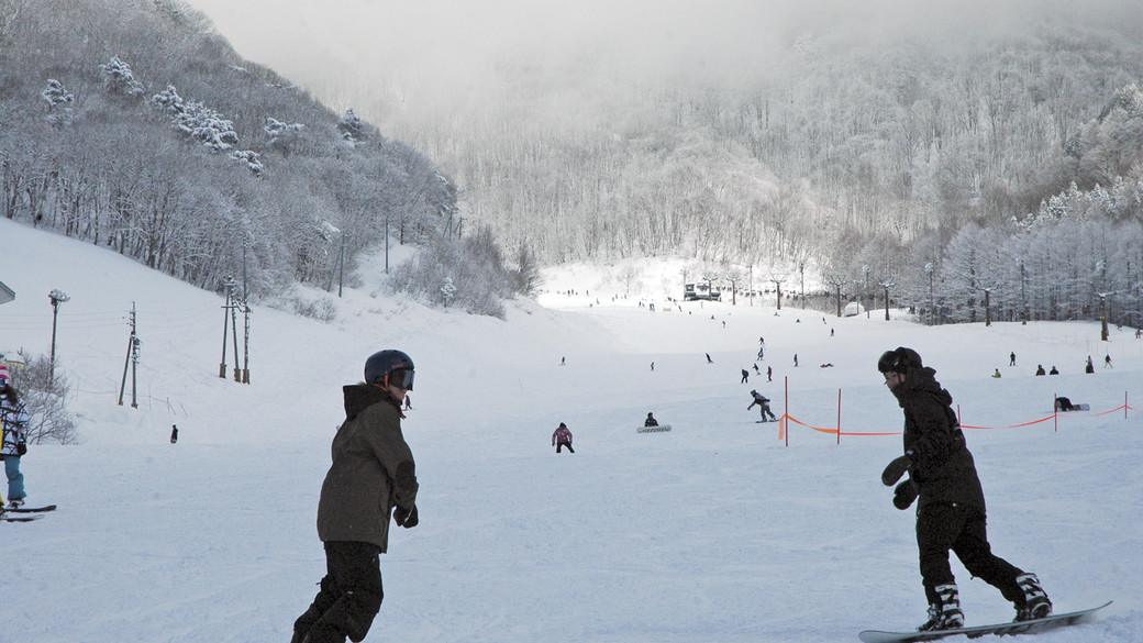 オリオンツアーを全30社と比較 口コミや評判を実際に調査してレビューしました Mybest