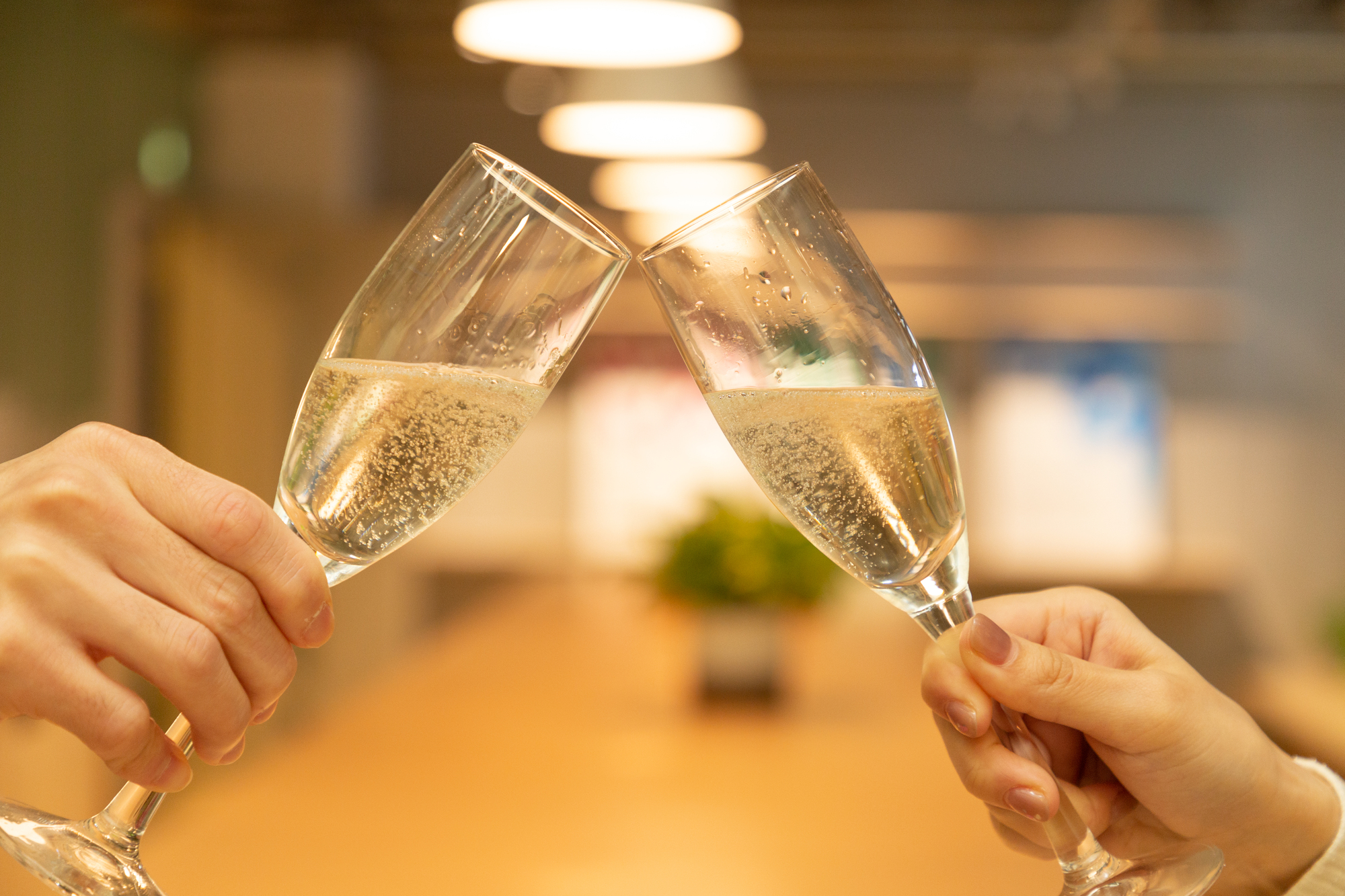 コドーニュ クラシコ・セコを全18商品と比較！実際に飲んで口コミや評判をレビューしました！ | mybest