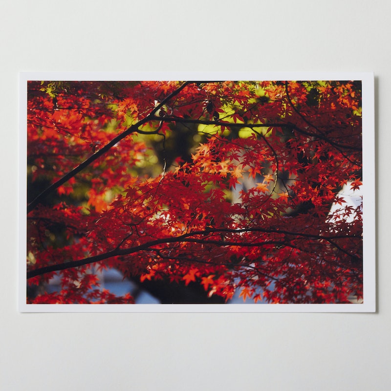 2ef5a86ba695f8d6375fd4ec7112e0