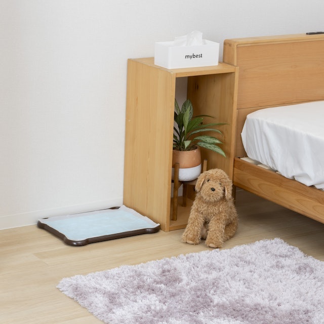 高さは2.2cmと薄いフラット型。隅々まで洗いやすい
