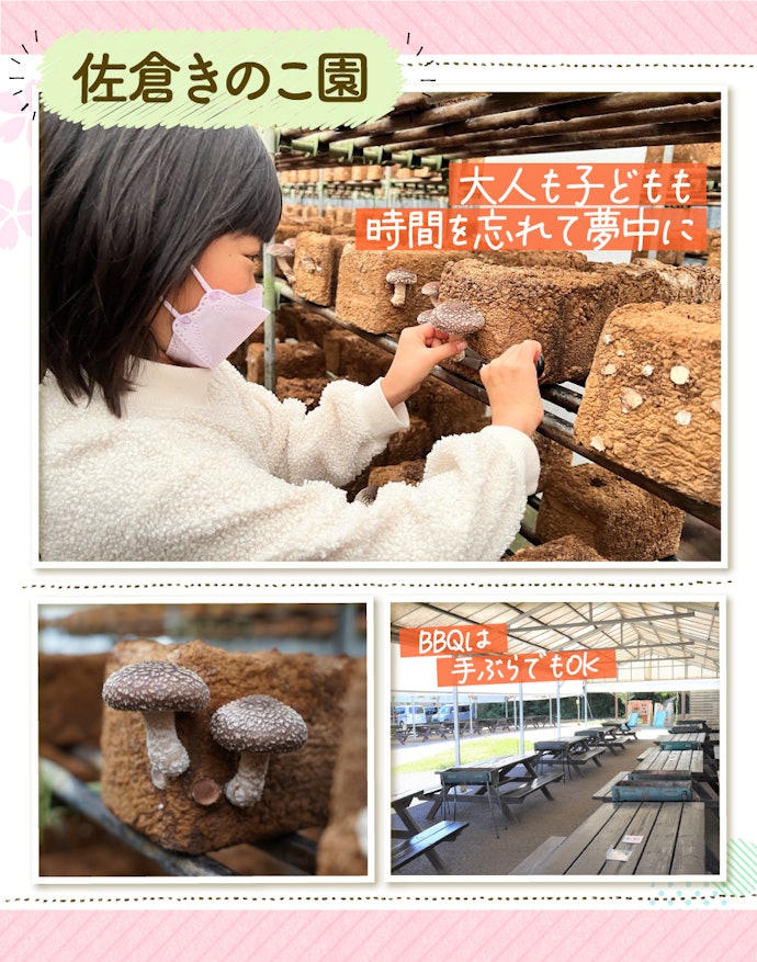 2. 雨でもOK!入園料無料で、しいたけ狩り&BBQが楽しめる「佐倉きのこ園」
