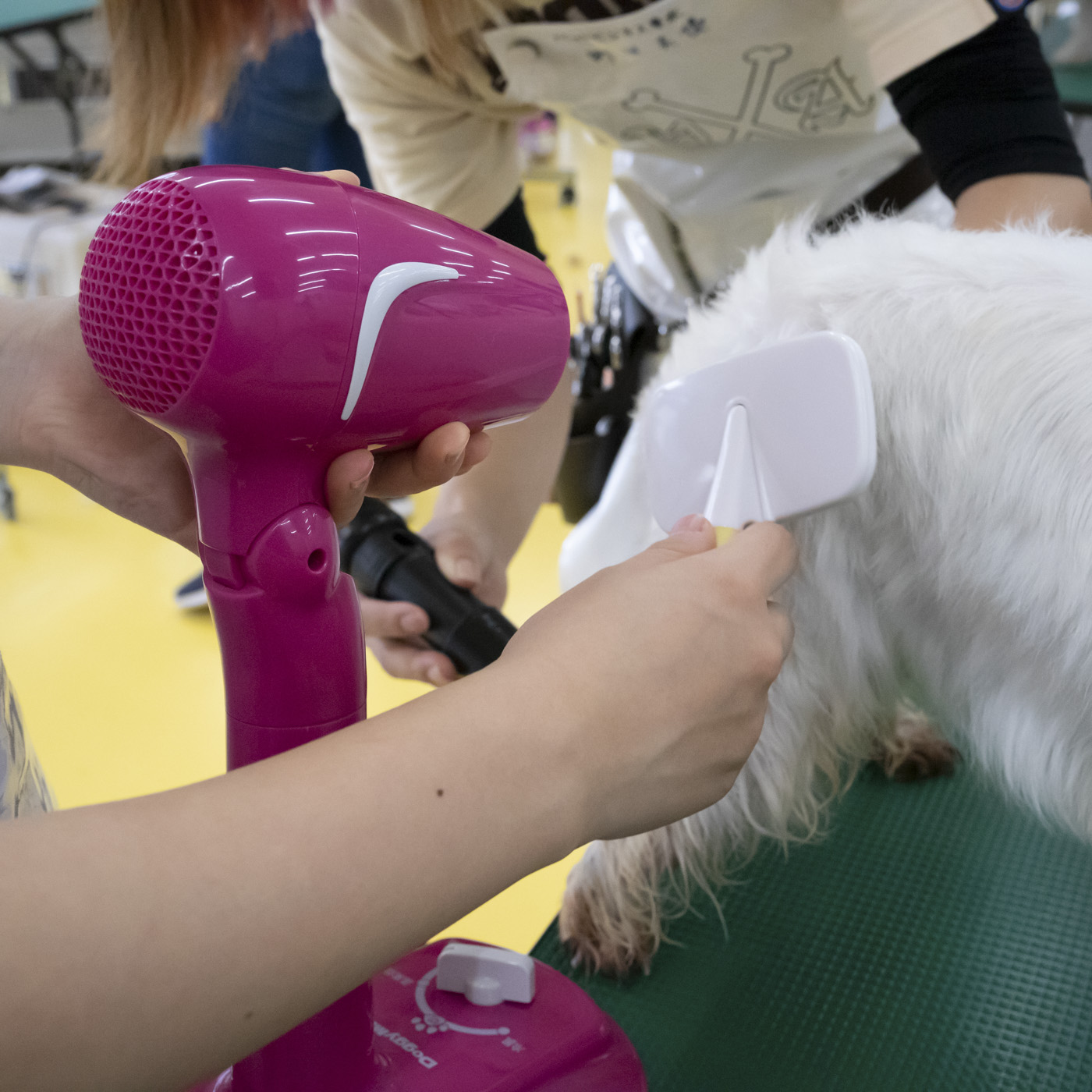 Difang公式 ドライヤースタンド 犬トリミング ドライヤーホルダー ドライヤー固定 ドライヤーパナソニック トリミング台 ドライヤーフリーハンド