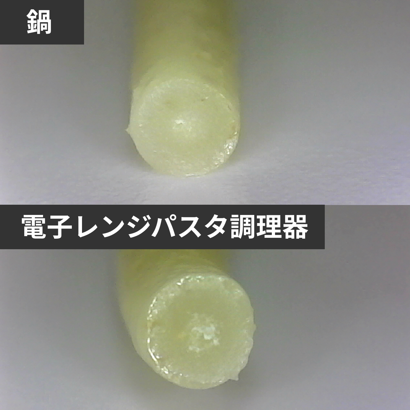 エビス お皿になるレンジでパスタを全11商品と比較！口コミや評判を実際に使ってレビューしました！ | mybest
