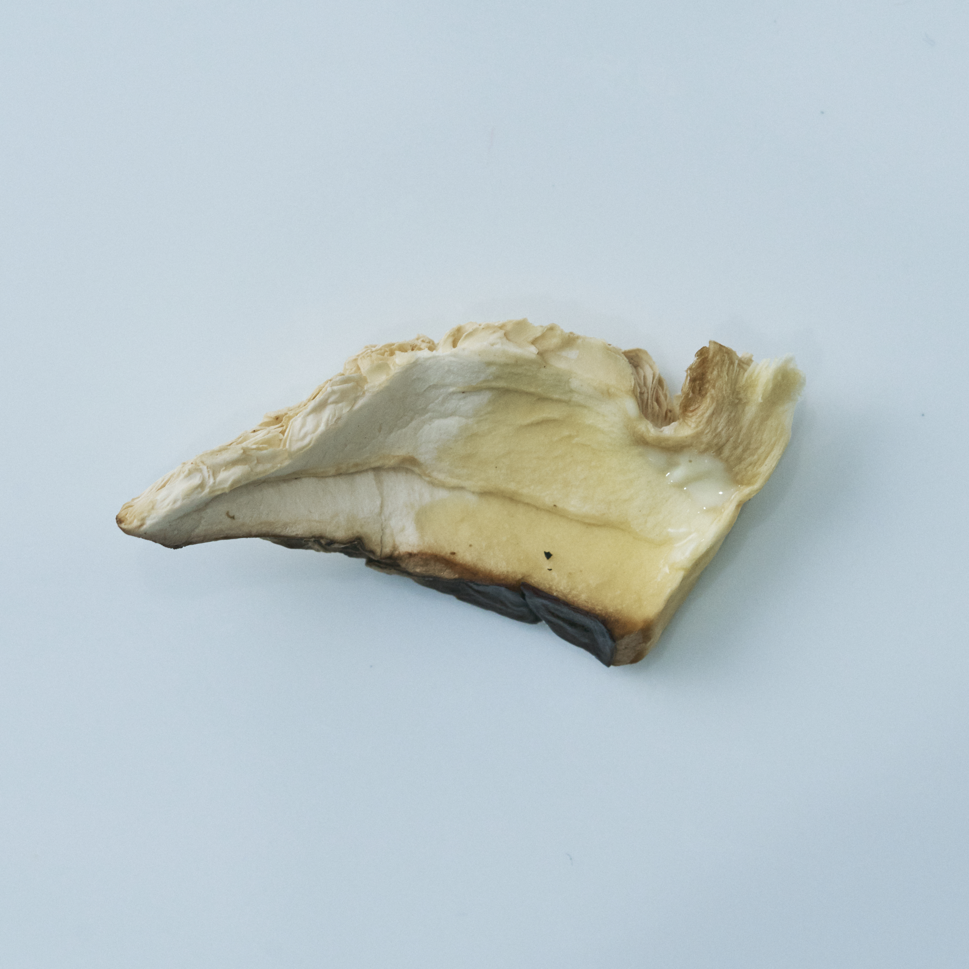 キールズ アイ トリートメント Avを他商品と比較 口コミや評判を実際に使ってレビューしました Mybest