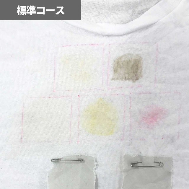 標準コースの洗浄力はいまひとつ。どの汚れも残りがち