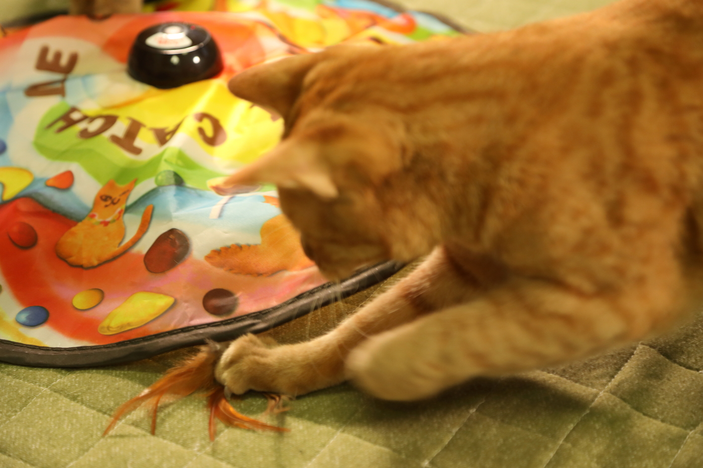 猫壱 キャッチ・ミー・イフ・ユー・キャン2をレビュー！クチコミ・評判