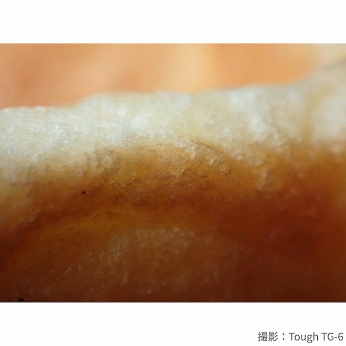 顕微鏡に匹敵するほどの拡大率。細部まで鮮明に観察できる