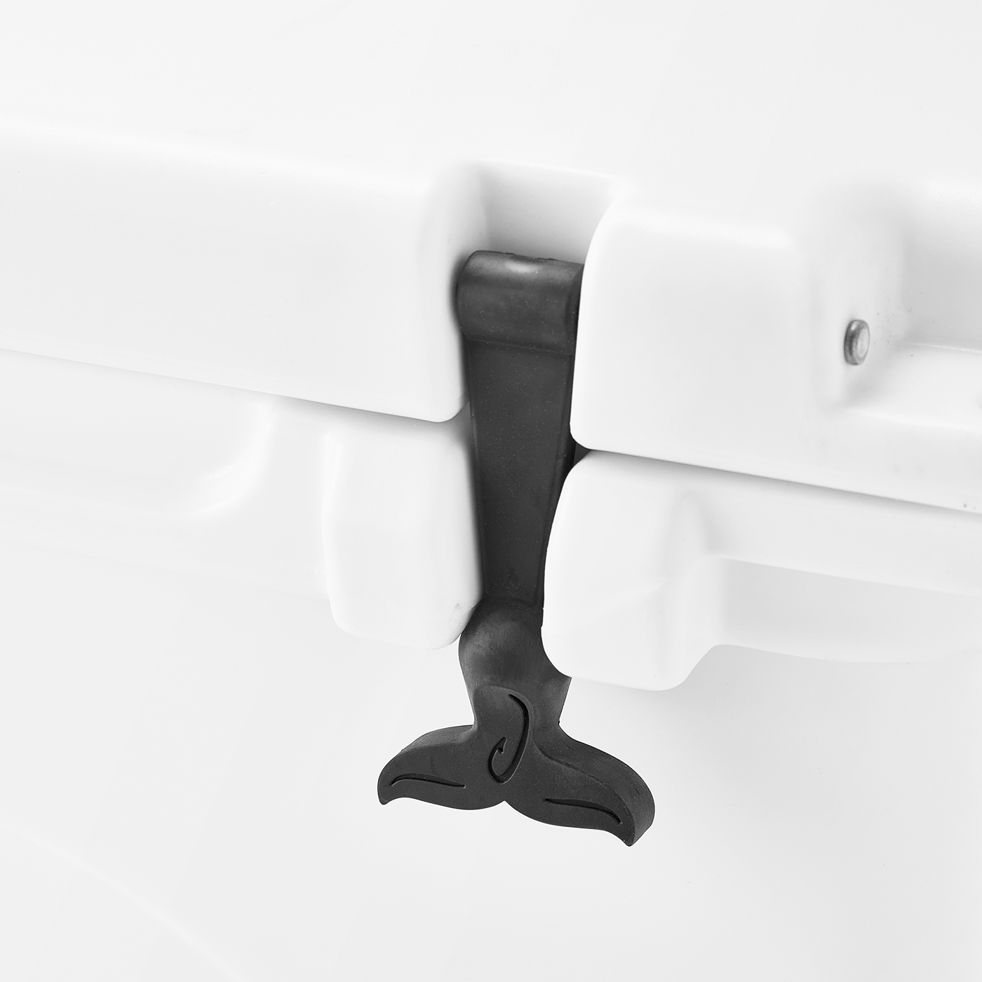 61e8cd64379c6eb1d943a676b3c090