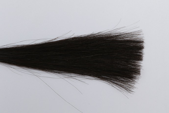 シーブリーズ リンスインシャンプーを全26商品と比較 口コミや評判を実際に使ってレビューしました Mybest