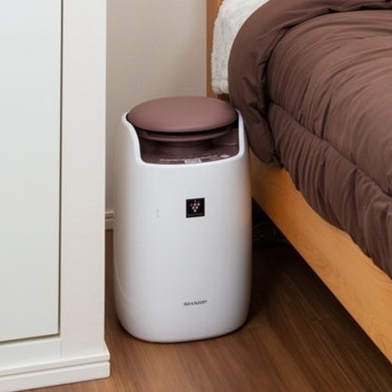 SHARP プラスマクラスター　ふとん乾燥機 51pBHt9nlTL._UF350,350_QL50_.jpg