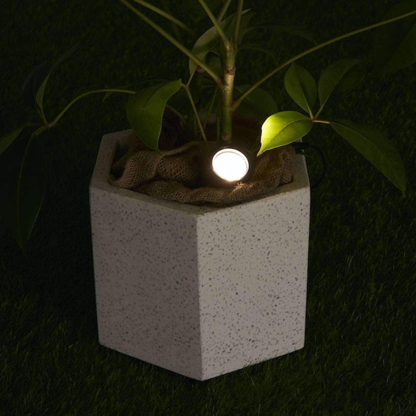 NIIYOCA スポットライト 10W 5000K ホワイト モダン 23個 NIIYOCA スポットライト 10W 5000K ホワイト モダン 23個