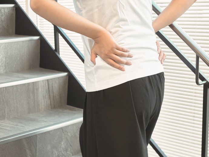 日本シグマックス マックスベルト Me2を全26商品と比較 口コミや評判を実際に使ってレビューしました Mybest