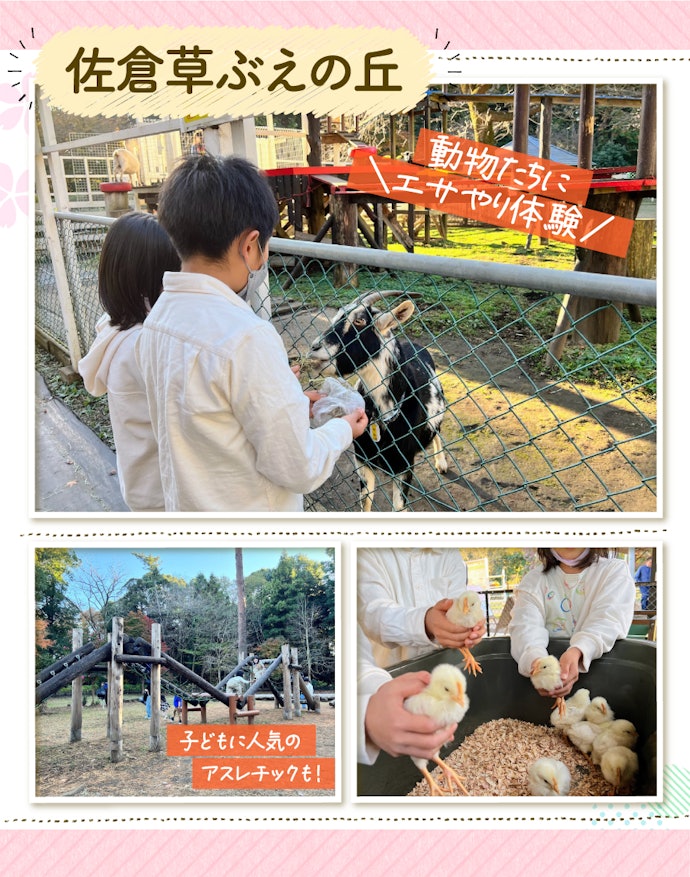 3. 子ども人気がスゴい!体験するなら外せないスポット「佐倉草ぶえの丘」