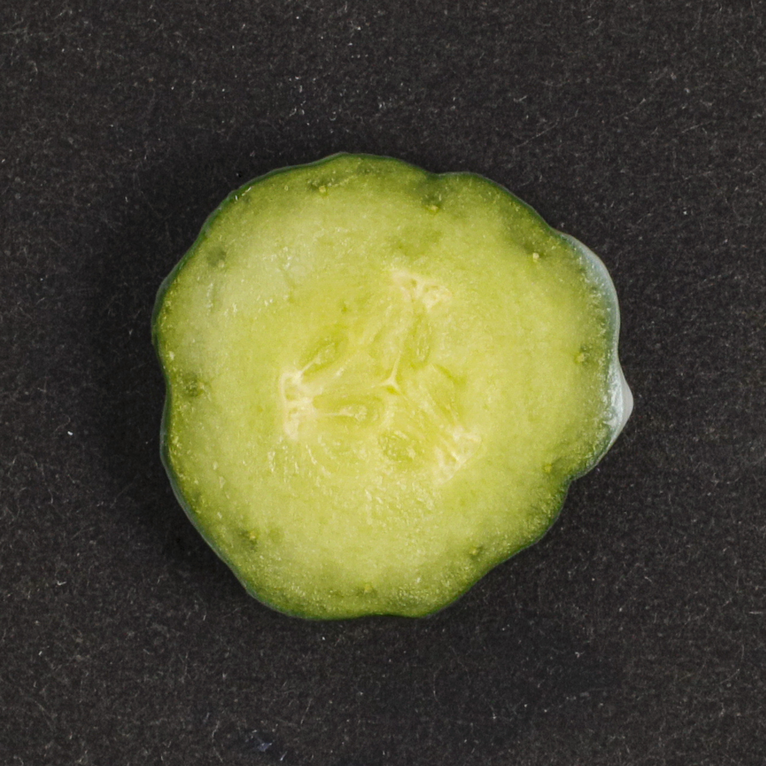 トリニティーライン ジェルクリーム プレミアムを他商品と比較 口コミや評判を実際に使ってレビューしました Mybest