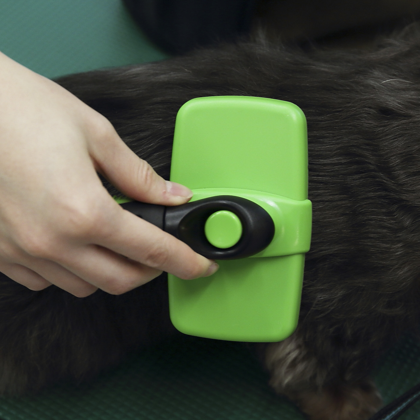 Alipet ペット スリッカーブラシを他商品と比較 口コミや評判を実際に使ってレビューしました Mybest