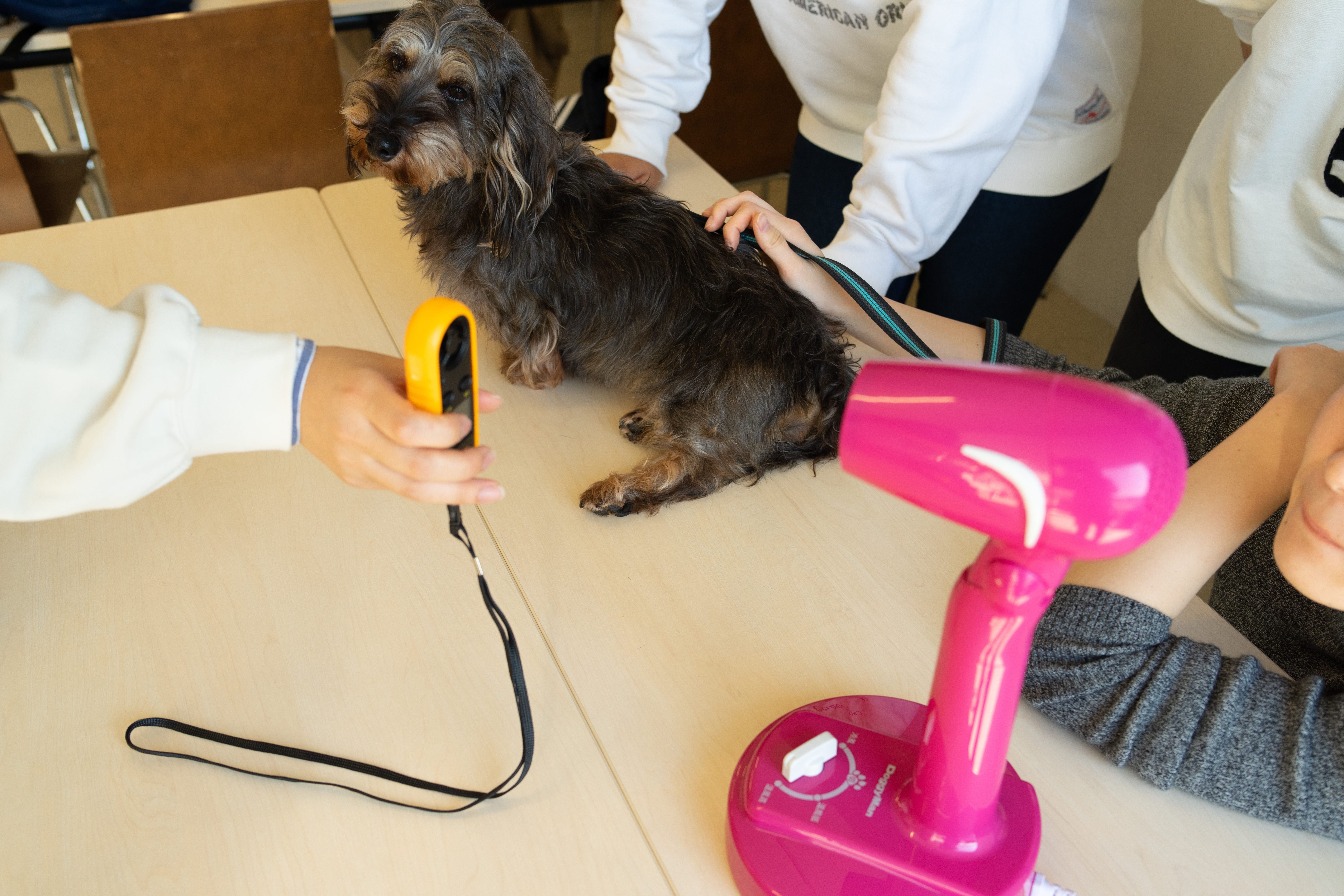 ドギーマン フリーハンドドライヤーを他商品と比較 口コミや評判を実際に使ってレビューしました Mybest