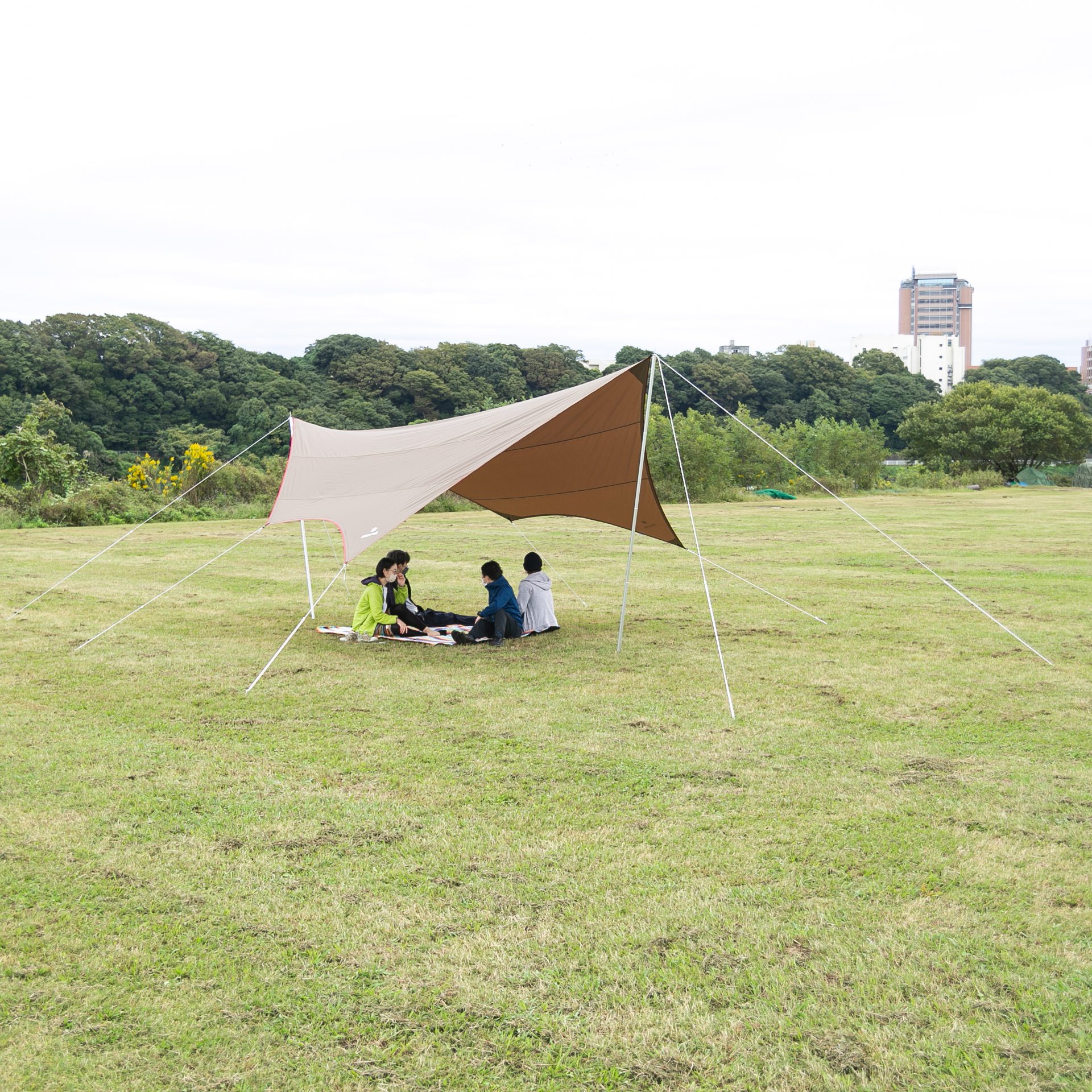 黒*猫様  peakスノーピーク HDタープシールド ヘキサ L TP- スノーピーク HDタープ“シールド”・ヘキサ（L）をレビュー！クチコミ