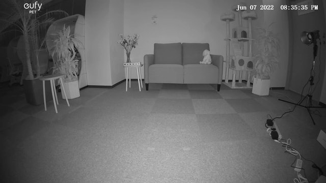 ANKER Eufy Dog Camera D605 T7200521をレビュー!クチコミ ANKER Eufy Dog Camera D605 T7200521をレビュー!クチコミ