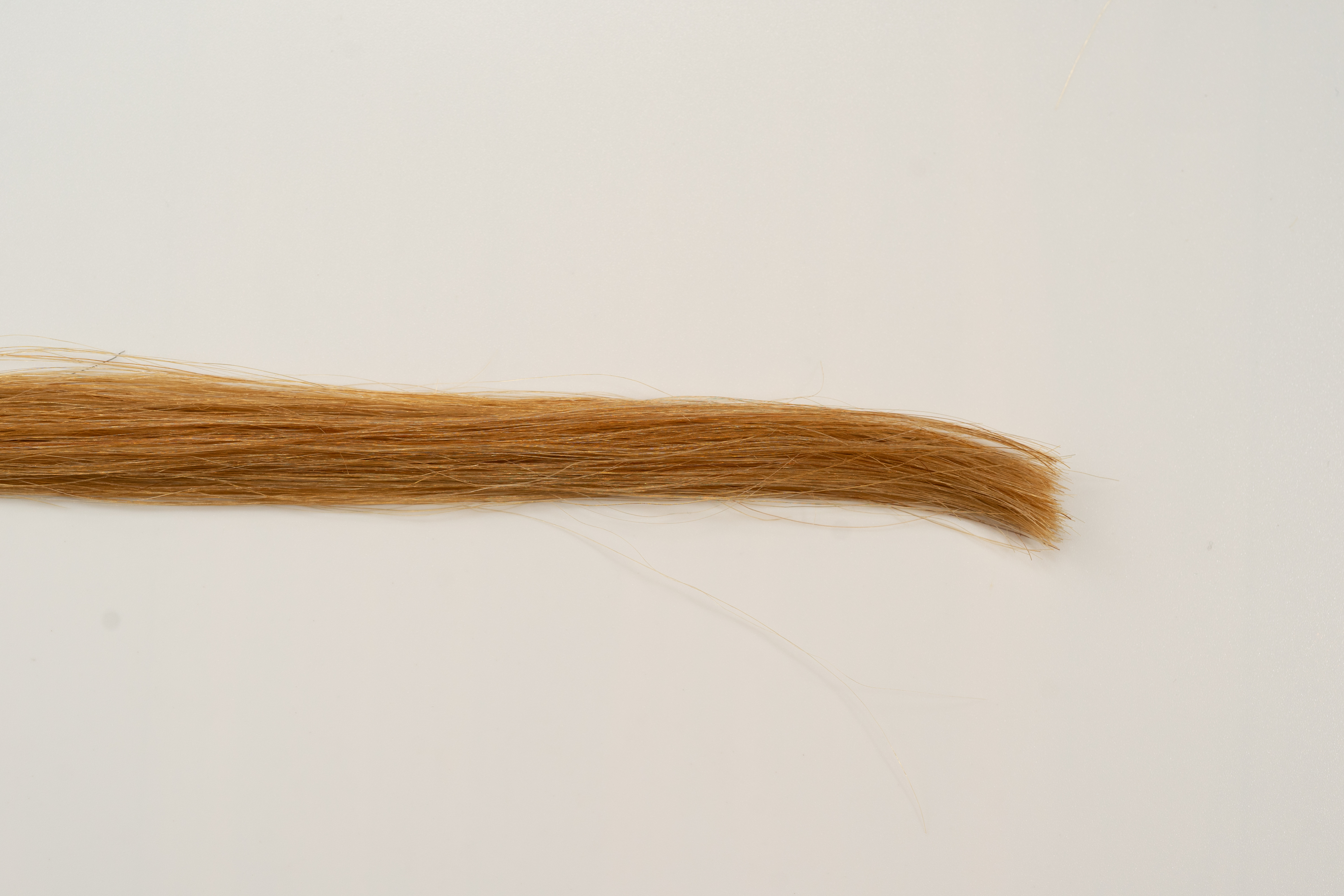 資生堂 ティアラ ヘアクリーム ソフトヘアを他商品と比較 口コミや評判を実際に使ってレビューしました Mybest