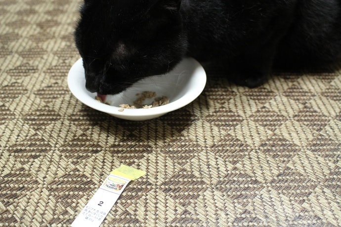 モンプチ 缶 あらほぐし仕立て ロースト若鶏をレビュー モンプチ 缶 あらほぐし仕立て ロースト若鶏をレビュー