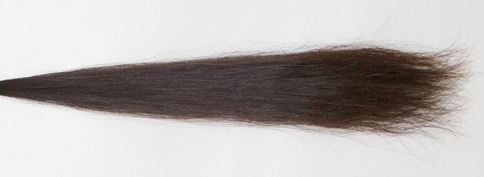 毛先の乾燥は気になるが、全体的にダメージが少なくなめらかな手触り
