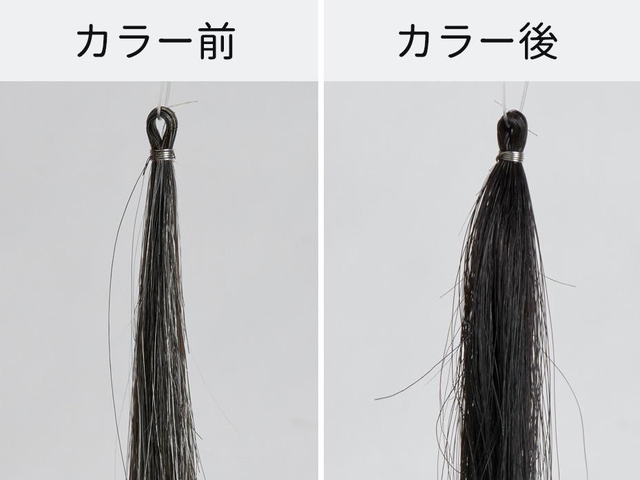 92f86dd699d366057830c33c34eafe