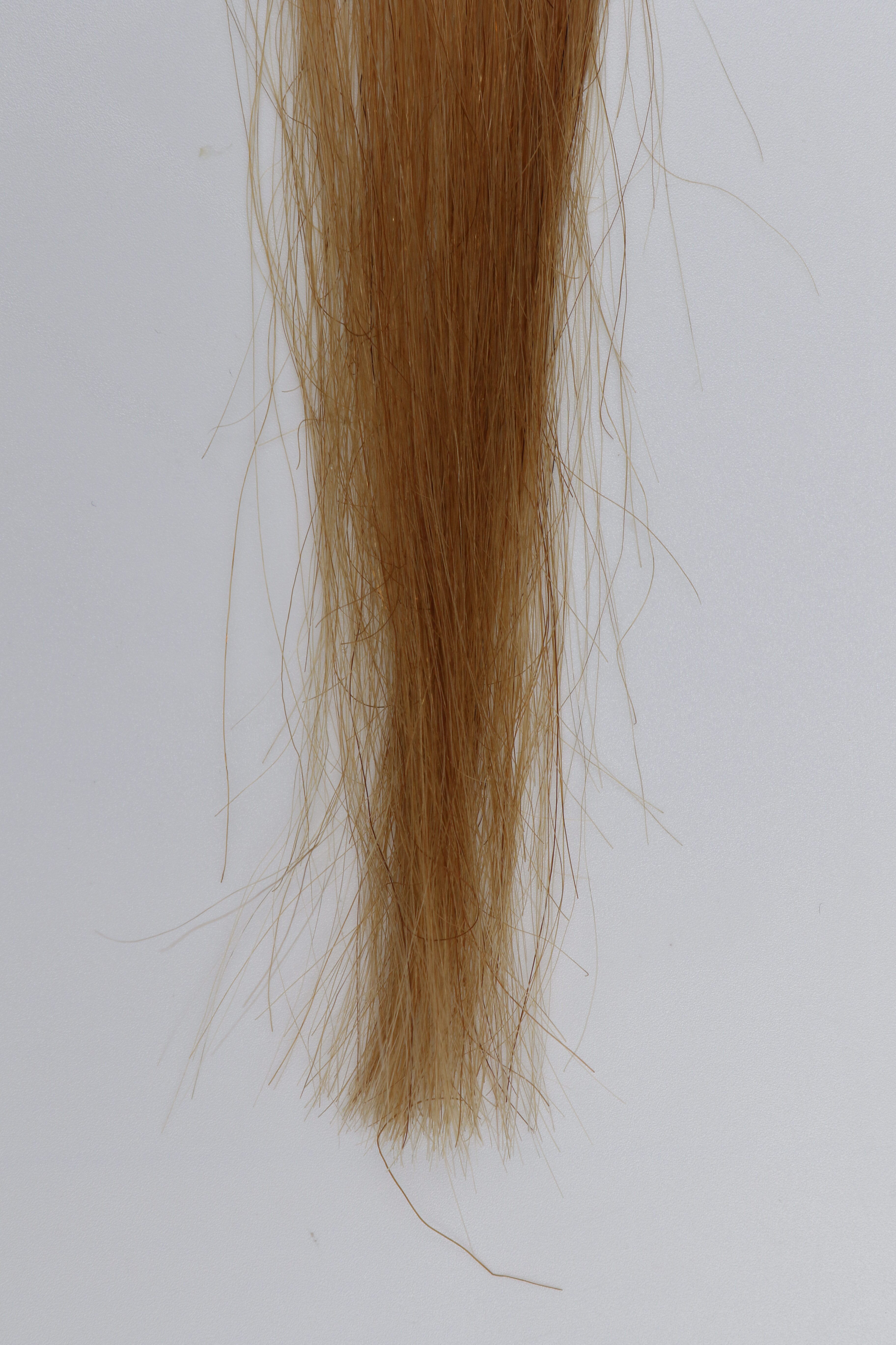 Dr Jr Tokio Ie インカラミ トリートメントを他商品と比較 口コミや評判を実際に使ってレビューしました Mybest