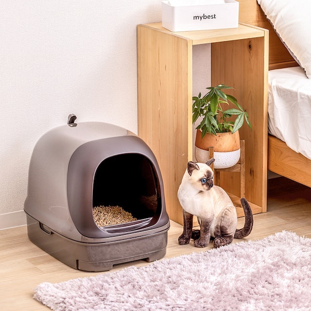 砂かきが激しい猫にもぴったり。横から出入りできる使いやすい構造も魅力