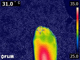 爪先の温度は7℃上昇。足が冷えやすい人におすすめ