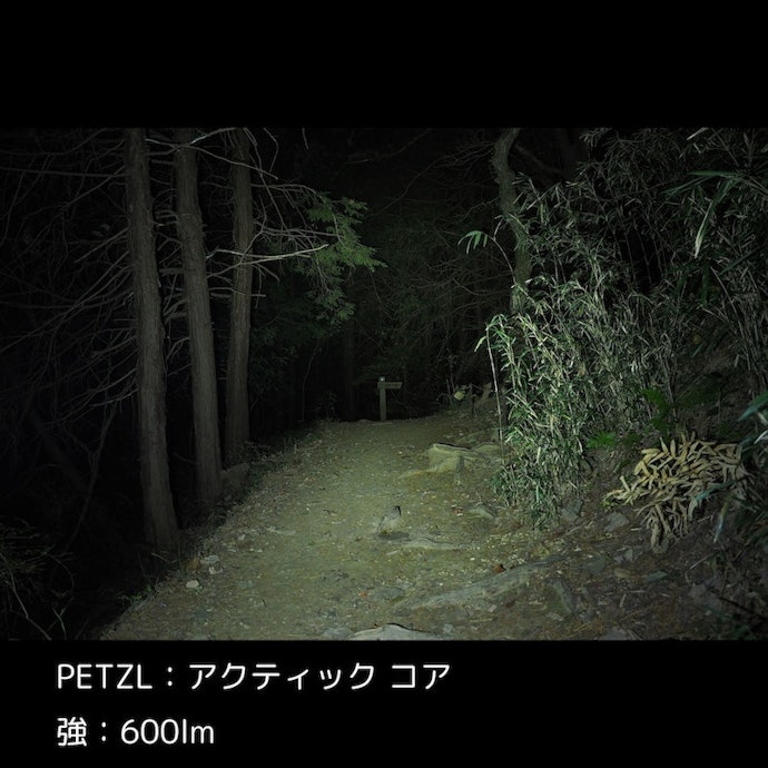 明るさは申し分なし。遠くの看板も足元もはっきり見えた
