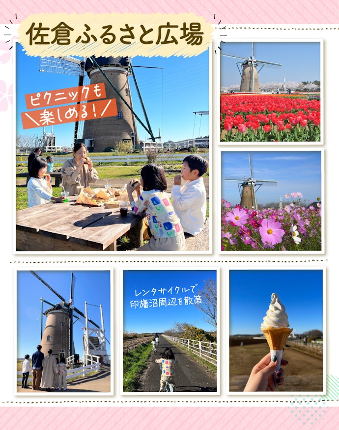 2. 一面に広がる季節の花々と、風車がフォトジェニックな「佐倉ふるさと広場」