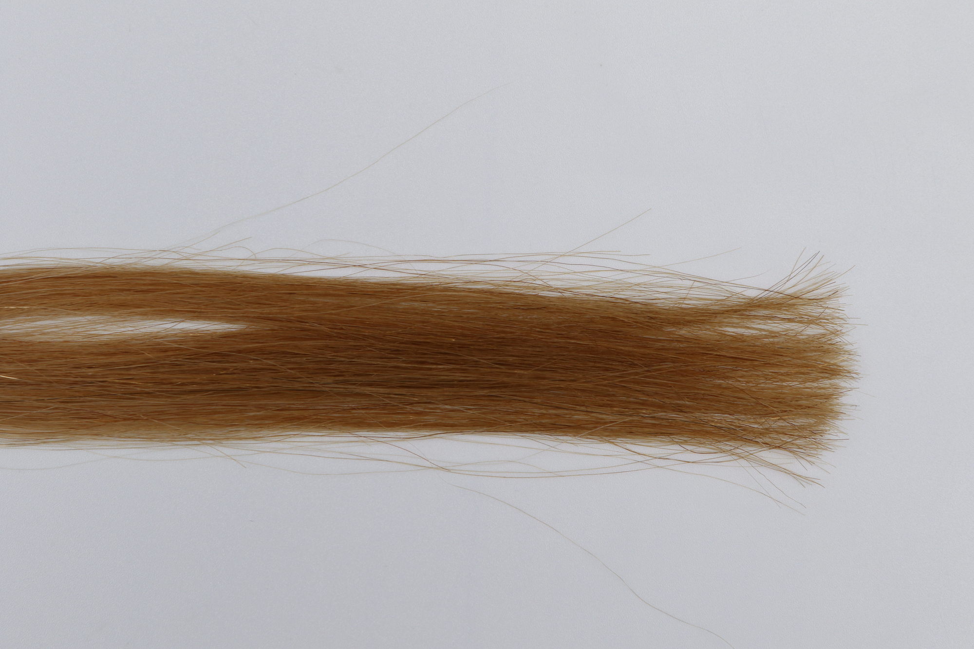 サラ ヘアトリートメント 軽やかさらさらを他商品と比較 口コミや評判を実際に使ってレビューしました Mybest