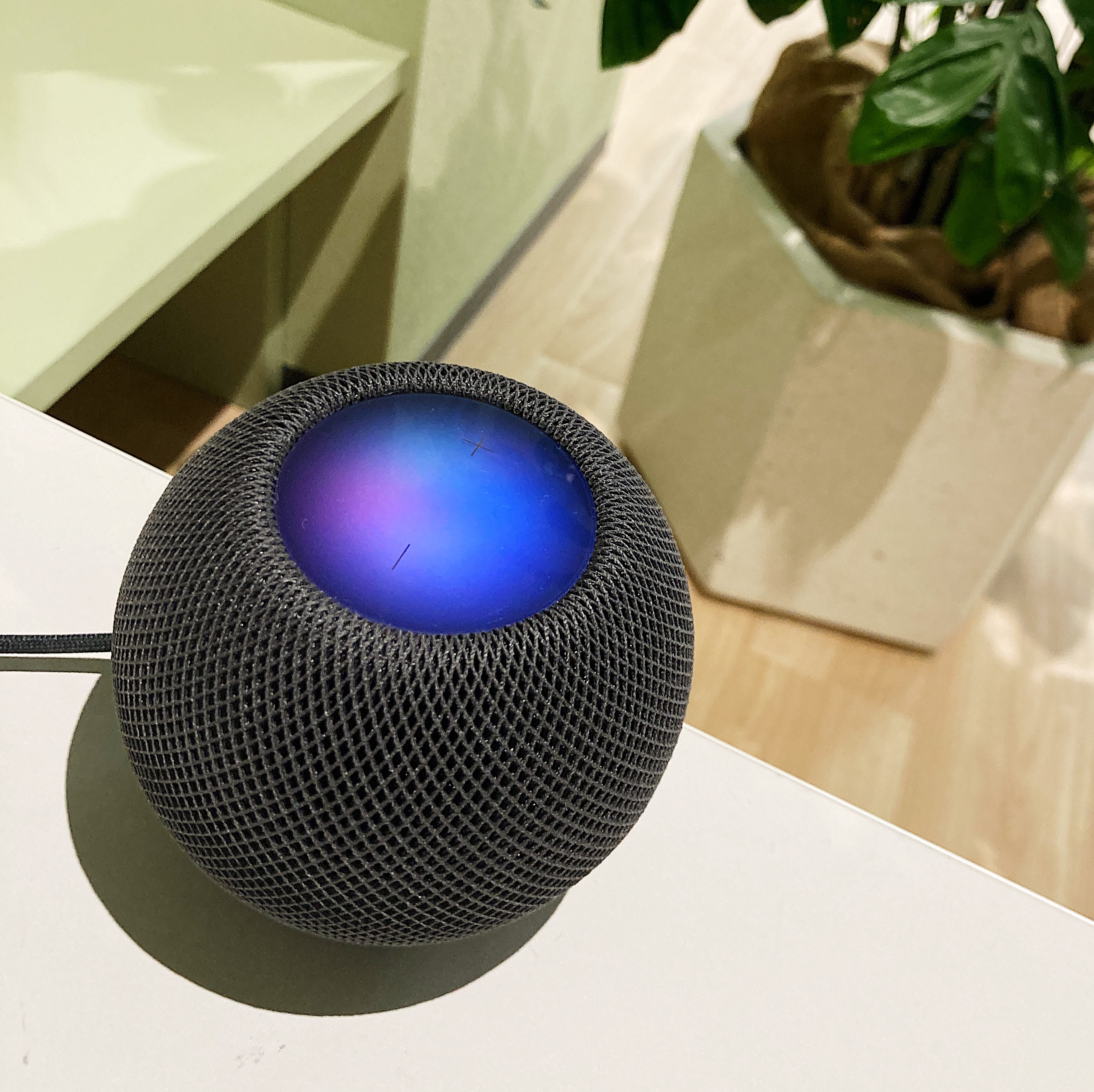 早い者勝ち 最終値下げ Apple HomePod mini ブルー Aランク アップル