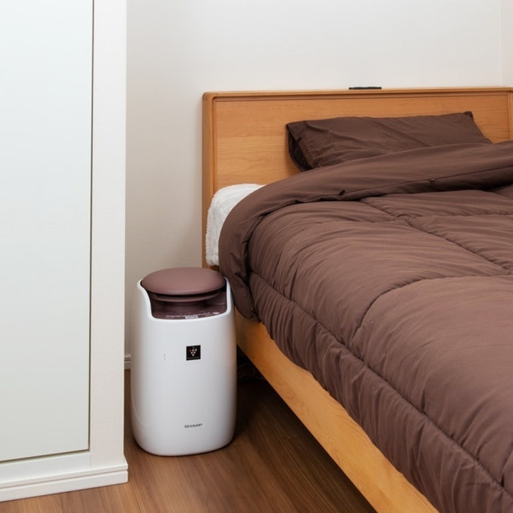 SHARP UD-BF1-W プラズマクラスター布団乾燥機 UD-BF1 | ふとん乾燥機：シャープ