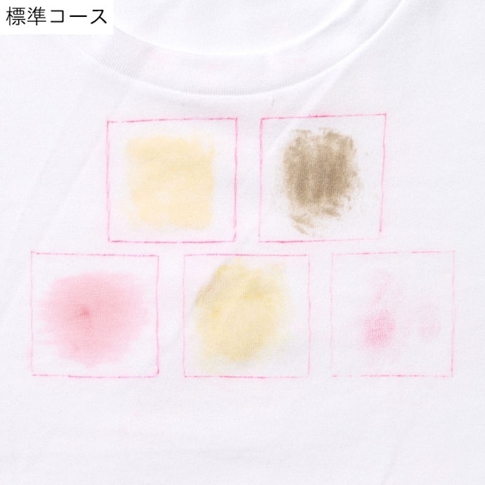 標準コースは皮脂汚れに強い。泥・卵・口紅の汚れも落とした