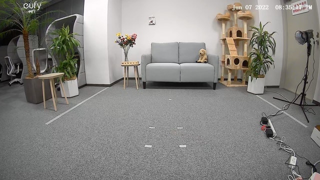 ANKER Eufy Dog Camera D605 T7200521をレビュー!クチコミ ANKER Eufy Dog Camera D605 T7200521をレビュー!クチコミ