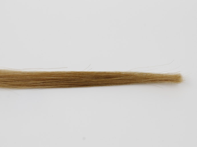 エトヴォス ヘアオイルセラムを他商品と比較！口コミや評判を実際に使ってレビューしました！ | mybest