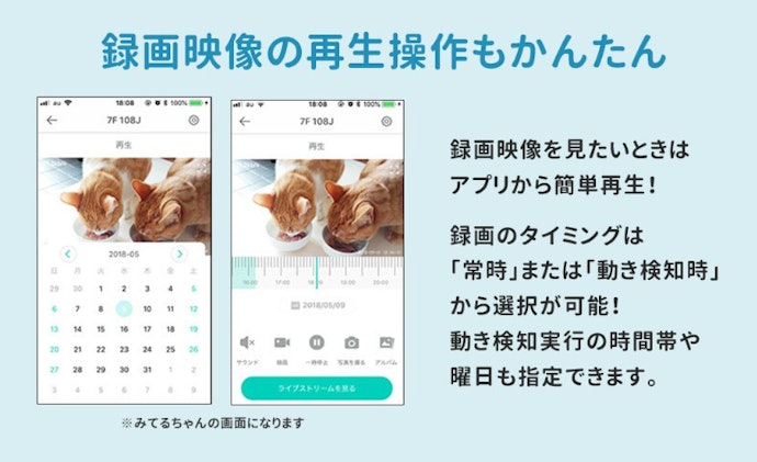 動きを検知して自動で録画。プッシュ通知で排せつやごはんのタイミングがわかる