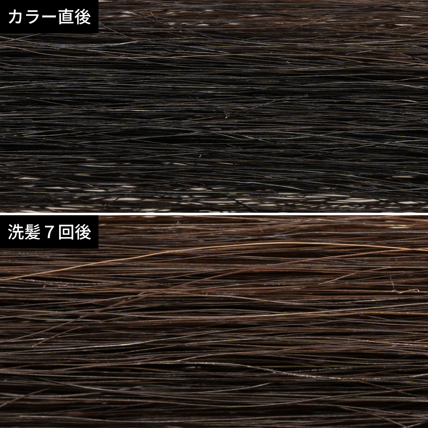 ビューティーラボ ホイップヘアカラー 髪色もどし Mybest