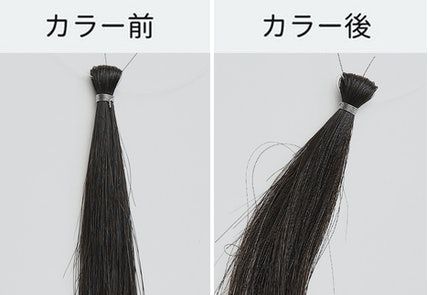 フレッシュライト 泡タイプカラー クリームシフォンを全11商品と比較 口コミや評判を実際に使ってレビューしました Mybest