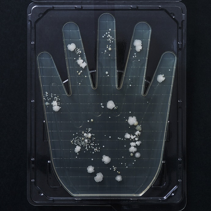 ミヨシ石鹸 無添加せっけん泡のハンドソープを全40商品と比較 口コミや評判を実際に使ってレビューしました Mybest